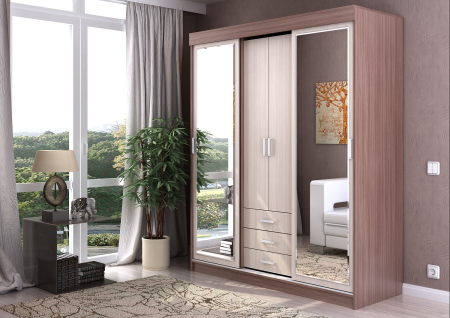 Шкаф-купе Лидер 2