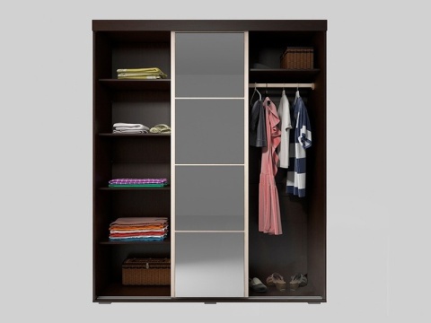 Шкаф-Купе Вега Ш-02 Венге/Дуб Белфорт (Ш-1500 × В-2107 × Г-605 мм)